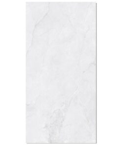 GP12L58JW Gạch Taicera 600x1200