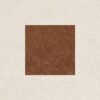 Gạch Taicera G38L43JF 30x30cm