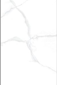 Gạch Taicera GP12085J 60x120cm