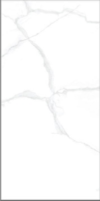 Gạch Taicera GP63085JF