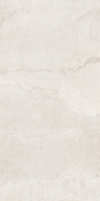 Gạch Taicera G63P03JW