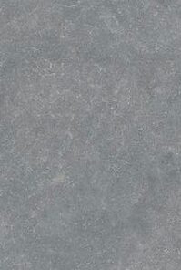 Gạch Taicera G63224J