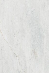 Gạch Taicera G63845J