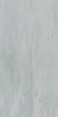 Gạch Taicera G63848J